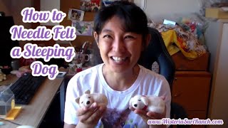 How to Needle Felt a Dog Beginner Tutorial [upl. by Gnurt]