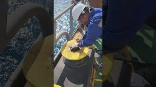 Ships Deck Team overhauling a Fairlead roller seafarers rollers mooring sailors maintenance [upl. by Heron414]