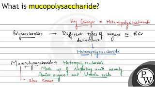 What is mucopolysaccharide [upl. by Nealon]