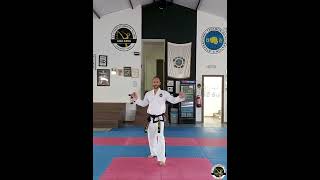 9 ChoongMoo Tul Fundamental movements and Demonstation Pattern no 9 Taekwondo ITF [upl. by Roman447]