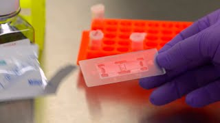 How to use a Hemocytometer for Tissue Culture Cell Counting [upl. by Mian]