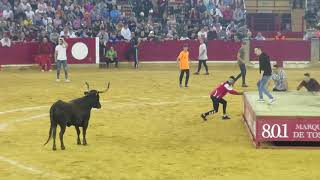 Vaquillas  Fiestas del pilar 2018 Zaragoza IX [upl. by Ajdan]