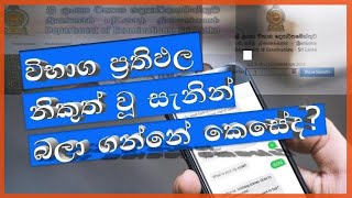 AL 2023 2024 results released  check exam results ප්‍රතිඵල පරීක්ශා කරන්නේ කෙසේද [upl. by Searby]