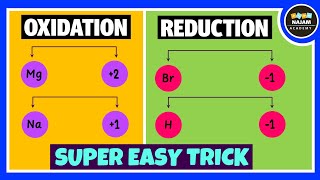 Oxidation and Reduction Reactions [upl. by Adlemi]