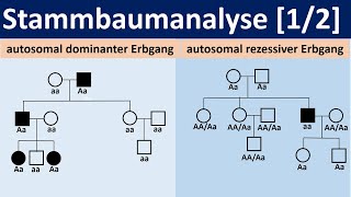 Stammbaumanalyse 12  autosomal dominante bzw rezessive Erbgänge Biologie Oberstufe Genetik [upl. by Aniratac594]