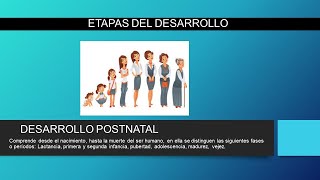 DESARROLLO POSTNATAL [upl. by Medrek]