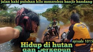 jalan kaki puluhan kilo mengarungi banjir bandang warta petani muda hidup di hutan [upl. by Esidnac]