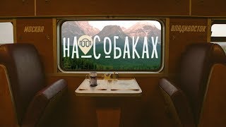 На собаках Предисловие [upl. by Dranyl758]