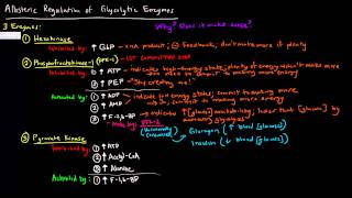 Glycolysis Part 3 of 3  Allosteric Regulation [upl. by Elsy230]