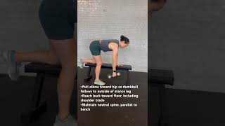 Kneeling 3 Point Dumbbell Row [upl. by Neelon917]