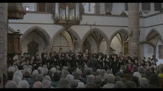 Tamario Tanzlied  Knabenchor «Mdzlevari» Georgien  EJCF 2023 [upl. by Ahseyk815]