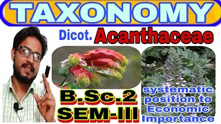 Acanthaceae familydicotyledonsfloral diagram and floral formulaBScpart2MSc Botany final year [upl. by Baylor]