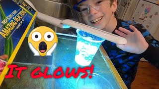 How to Make Gooey Glowing Worms [upl. by Sydney]