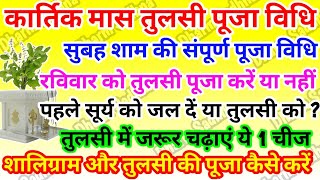 कार्तिक मास में तुलसी पूजन विधि तुलसी में दीपक कब कैसे जलाएं  तुलसी पूजा विधि ।Tulsi Puja Vidhi [upl. by Irodim]