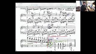 Organic rallentendo  Subdividing rhythms in Chopin Nocturne in Bflat minor op 9 no 1 [upl. by York]