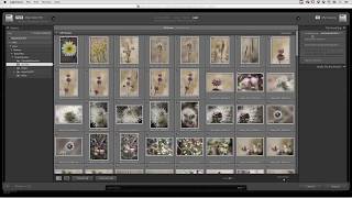 View Images Quickly with Embedded Preview Workflow in Lightroom Classic CC  Adobe Lightroom [upl. by Uzial]