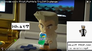 YTP  AbsolBlogsPokemon takes the quotTry Itquot Challenge [upl. by Eeralih]