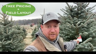 Evergreen Earnings Crafting a Successful Christmas Tree Farm Pricing and Layout Plan [upl. by Anselmo134]