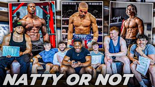 FITNESS INFLUENCERS EXPOSE THE INDUSTRY  Natty Or Not [upl. by Yarised]