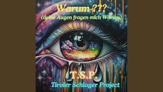 Warum Deine Augen fragen mich RadioVersion [upl. by Ahsinoj]