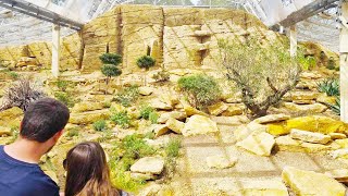 Worlds Largest Uromastyx Enclosure Tour [upl. by Rehprotsirhc7]