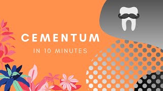 Cementum  Basic Histology in 10 Minutes [upl. by Jezabella817]