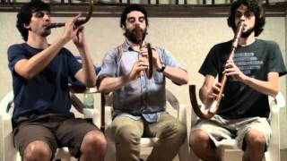 Crumhorn trio plays Susato  Allemande Crumhorn Renaissance [upl. by Leavitt104]