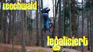 Loose Riders Graz übernehmen den Leechwald Dirtspot Erste Infos zum legalen Freeride Spot [upl. by Ontine]