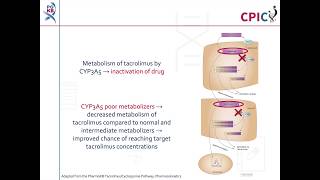 CPIC guideline for Tacrolimus and CYP3A5 [upl. by Enovahs]