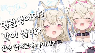 궁금했던 질문에 답해주는 쌍둥이 [upl. by Elena]