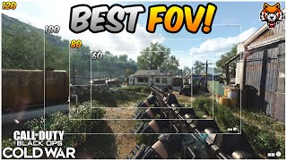 How To Find The BEST FOV In Black Ops Cold War [upl. by Mcmath]