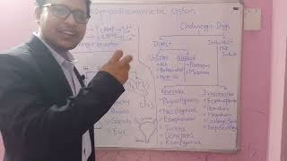 Parasympathomimetic System and Drugs  Cholinergic  Cholinomimetic [upl. by Punke]