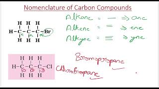 Nomenclature  Carbon and its Compounds  Chemistry class 10  Ncert  Aim 2025 🔥 [upl. by Nugesulo851]