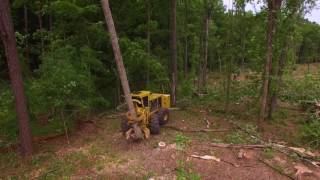 Tigercat 724G Feller Buncher in Georgia [upl. by Oinotnaesoj]