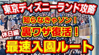 【 TDL  裏技復活！】知らなきゃソン！激混みでも、ほとんど待たずに入園する方法！【東京ディズニーランド】2022年12月 [upl. by Haleehs]