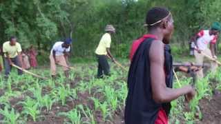 Tanzania Sukuma Bachonga Magembe working in the fields [upl. by Lemire]