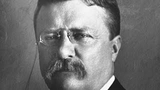 The Theodore Roosevelt Song [upl. by Amelita]