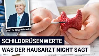 Schilddrüsenwerte was der Hausarzt NICHT sagt  Interview mit Prof Dr Wienecke [upl. by Ihpen]