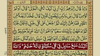 Quran Para 3 with Urdu Translation  Recitation  Mishary Rashid Alafasy [upl. by Lenroc]