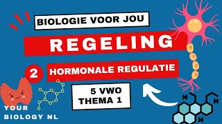 5 vwo  Regeling  2  Hormonale regulatie [upl. by Anica]