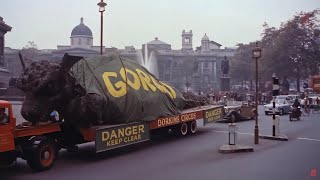 Gorgo 1961 Action drame horreur Film complet en français [upl. by Allemac]