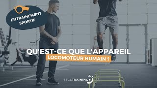 Questce que lappareil locomoteur humain [upl. by Fidele491]