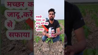 मकड़ी की दवाई agriculturefarming farming agriculture shortsviral Neem oil [upl. by Sonitnatsok980]