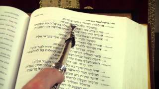 אנעים זמירות שיר הכבוד הרב משה ויסבלום Hymn of glory Rabbi Weisblum [upl. by Akvir]