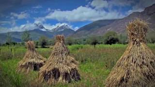 Explore Tibet Lhasa to Shigatse Yamdrok Lake Qomolangma National Park [upl. by Yhtimit]