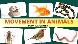 Movement in animals  Body movement  Science Class 6 Chapter 8 [upl. by Ahsit717]