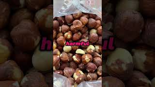 Do you eat hazelnut nuts health didyouknow shorts [upl. by Aseen637]