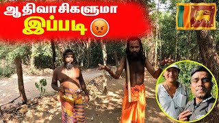 ஆதிவாசிகள்  இலங்கை Tribes Foods  Mahiyankane  Sri lanka  sltamilvlogs [upl. by Annohsat]