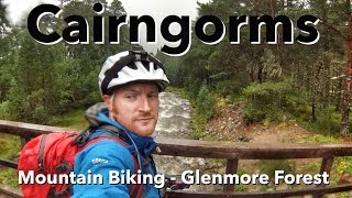 Cairngorms  Mountain Biking  Glenmore Forest [upl. by Terb]