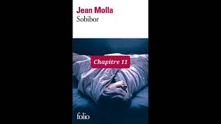 11  Sobibor  livre audio  Chapitre 11  Jean Molla  lecture et résumé [upl. by Haimarej]